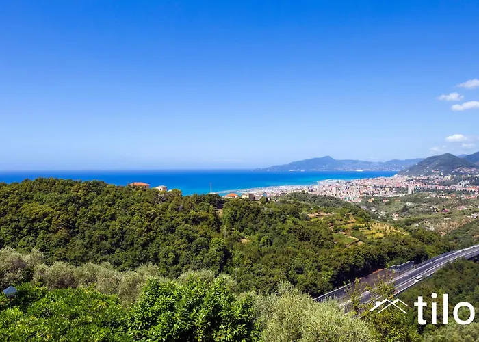 Among Olive Trees By The Sea By Tilo