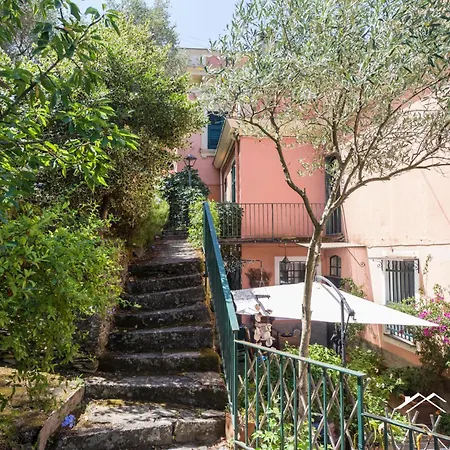 Appartement Among Olive Trees By The Sea By Tilo