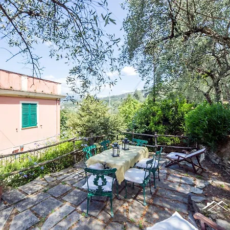 Among Olive Trees By The Sea By Tilo *