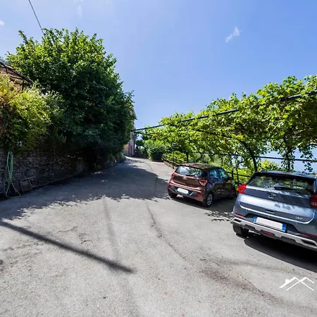 Among Olive Trees By The Sea By Tilo *