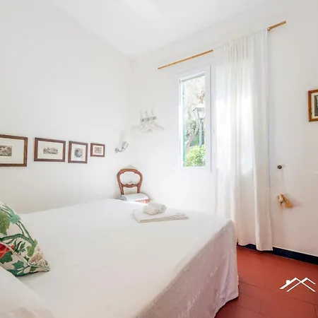 Among Olive Trees By The Sea By Tilo *