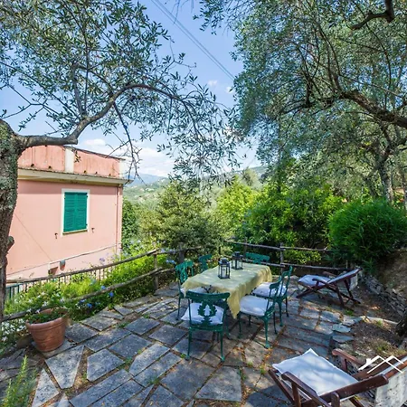 Among Olive Trees By The Sea By Tilo Appartement *