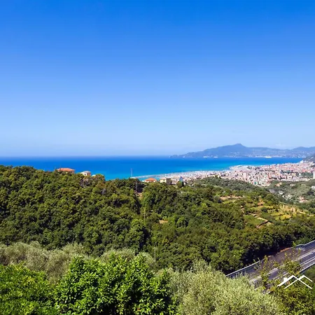 Among Olive Trees By The Sea By Tilo
